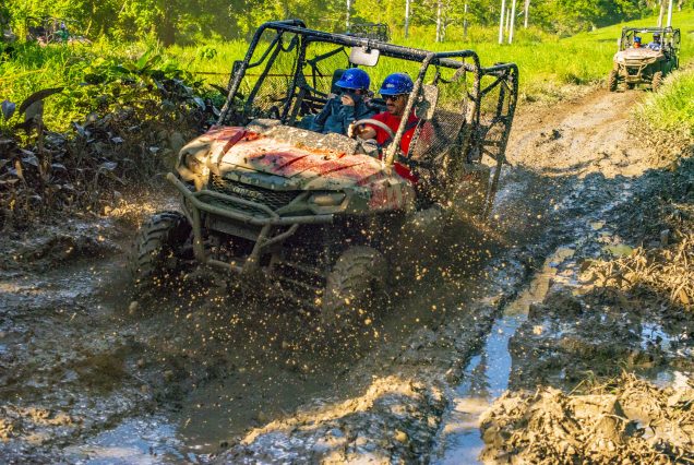 Monkeyland + Jungle Buggies Punta Cana