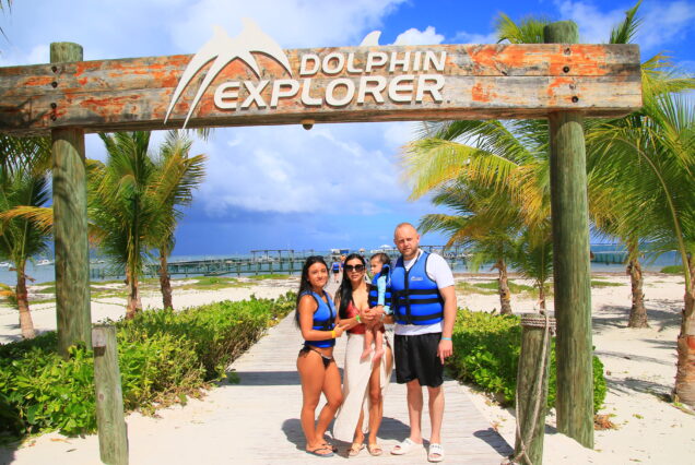 Dolphin Explorer