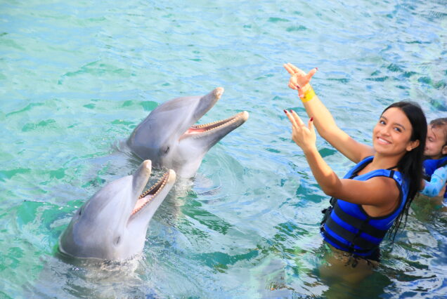 Dolphin Funtastic